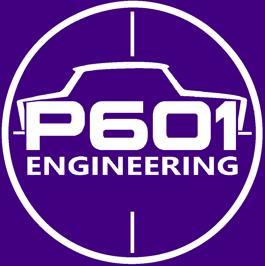 P601 Engineering: Leadership & Technical Consulting